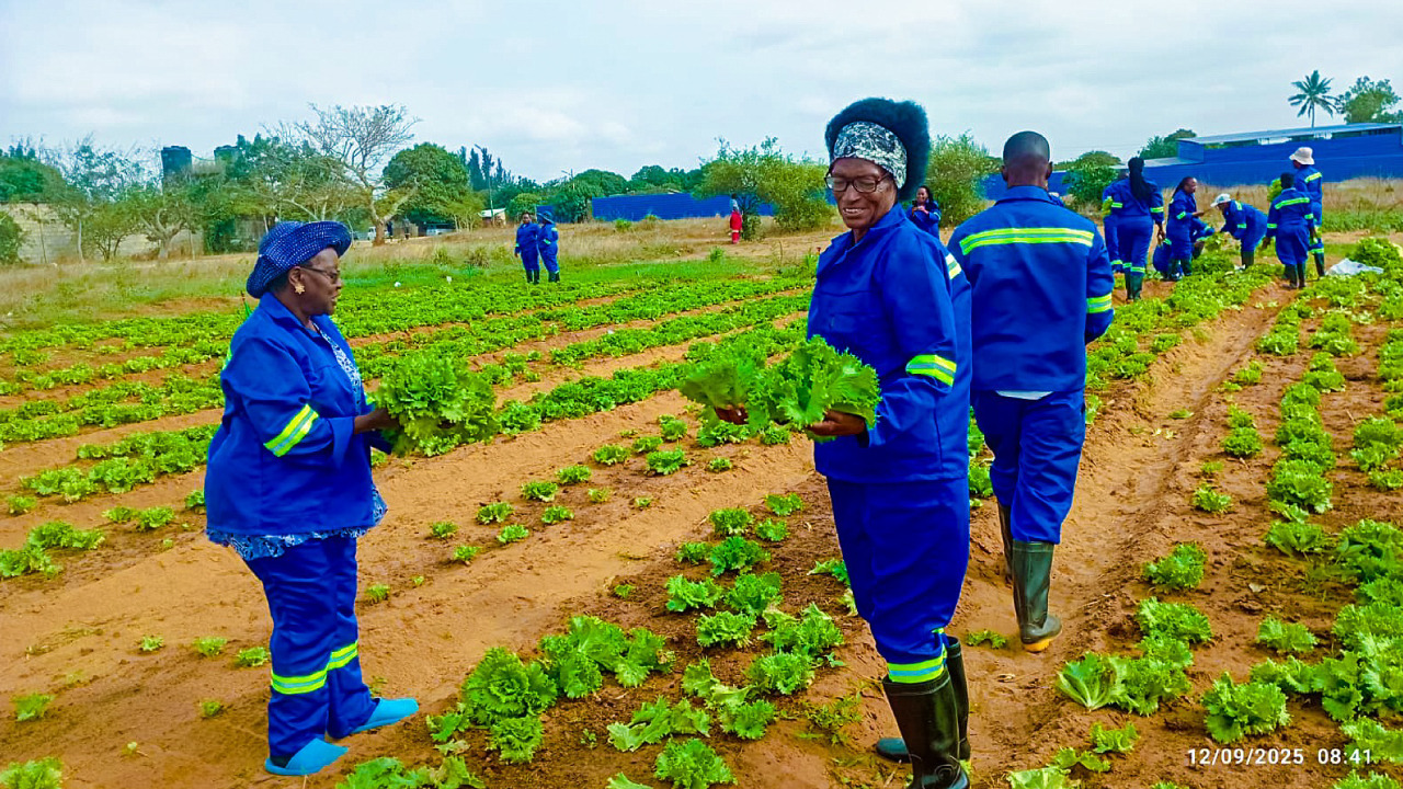 Faculdade de Agricultura da USTM Lança Formação em Horticultura